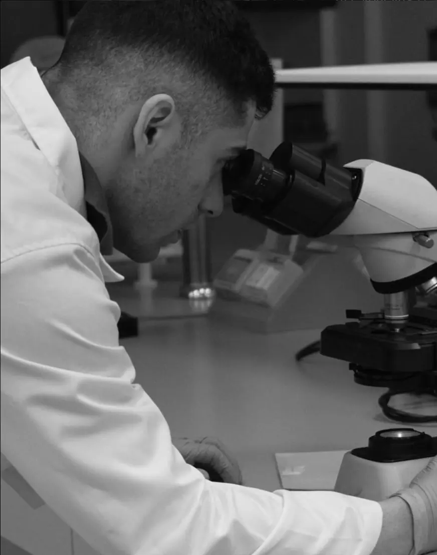 Studying at a microscope, black and white